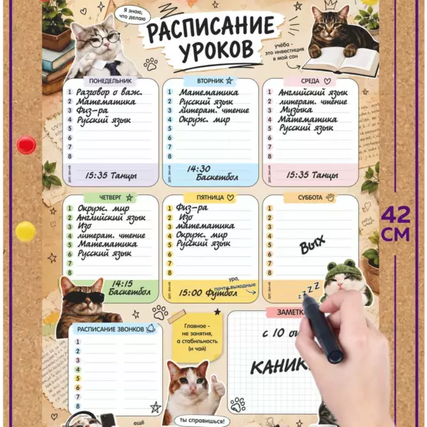 Многоразовое расписание уроков 30×42 см с котиками, школьный планер пиши-стирай