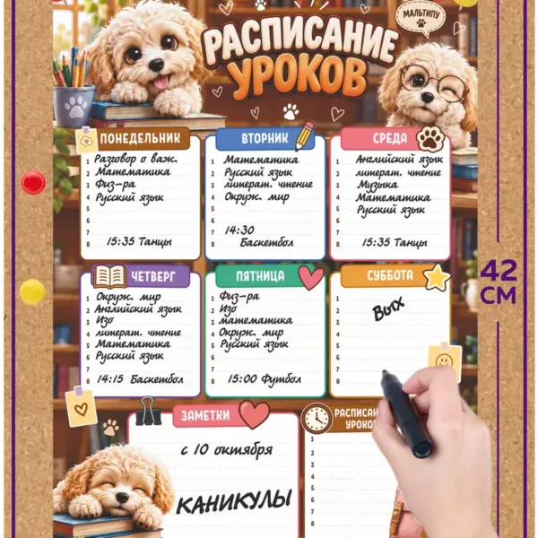 Многоразовое расписание уроков 30×42 см Мальтипу, школьный планер пиши-стирай